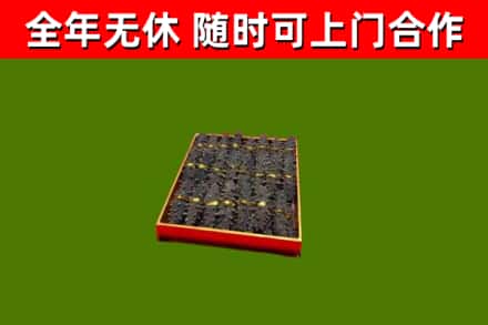 平湖市回收海参